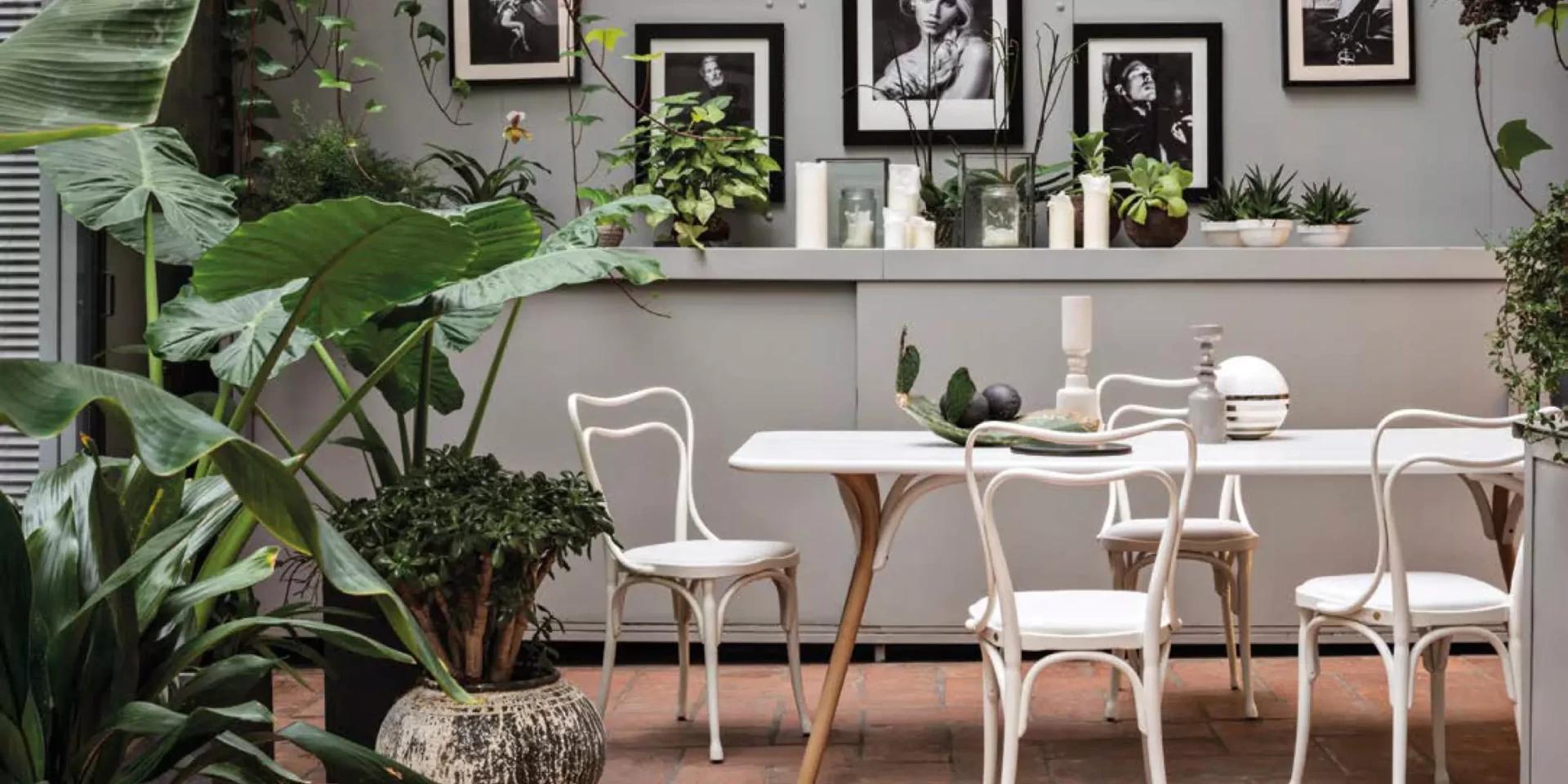 Wiener GTV Design | Gebrüder Thonet Vienna